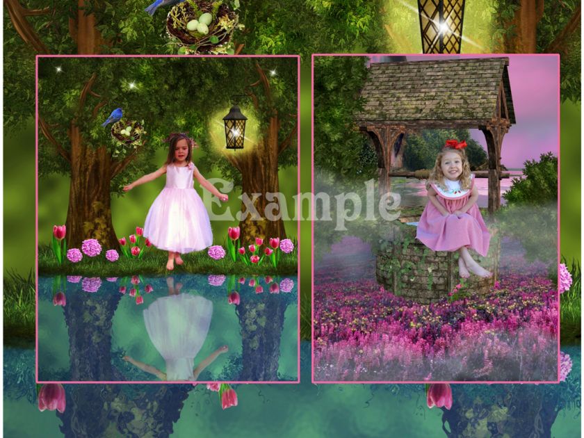 DIGITAL FANTASY BACKGROUNDS/ BACKDROPS/ photo props  