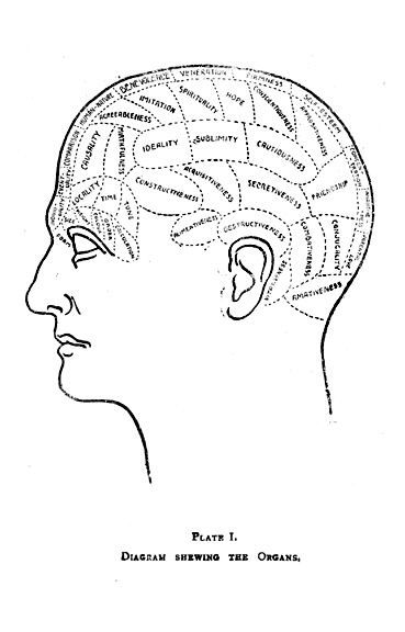 PHRENOLOGY How to Read HEADS 1901 Book on CD ROM  