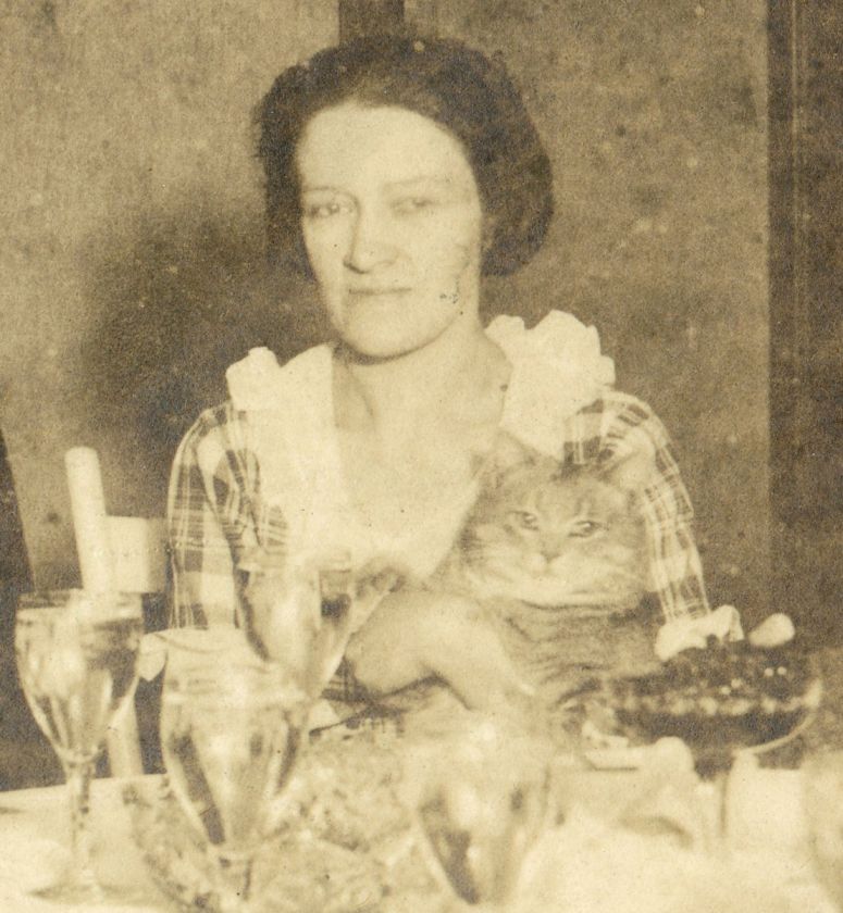   MUSKEGON MI HAPPY THANKSGIVING DINNER CAT KITTY FAMILY LARGE OLD PHOTO