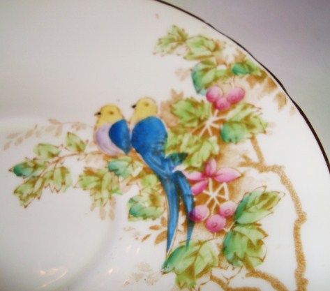 Handpainted Blue Parrots Bird Sutherland Cup & Saucer  