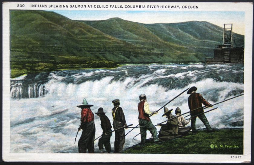   Indians Spearing Salmon at Celio Falls Columbia River OR   P22  
