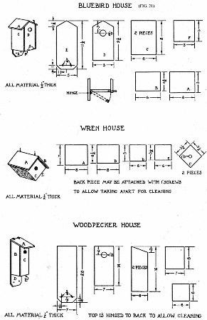   enemies x men ants and vermin english or house sparrow sparrow traps