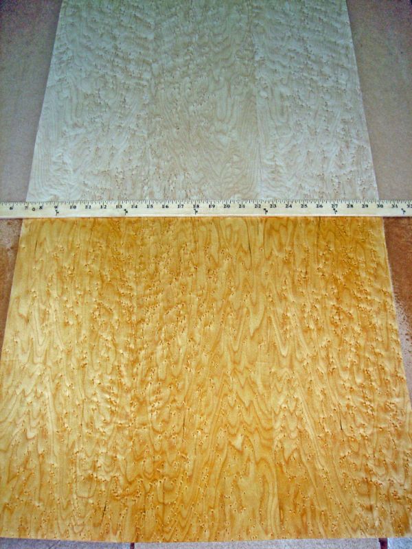 Birdseye Maple wood veneer 24 x 96 with paper backer  