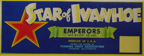 Star of Ivanhoe Tomato Crate Label Ivanhoe, CA  