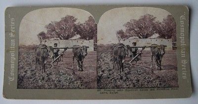 Antique COSMOPOLITAN SERIES STEREOVIEW SET Key West Fla. Cairo Egypt 