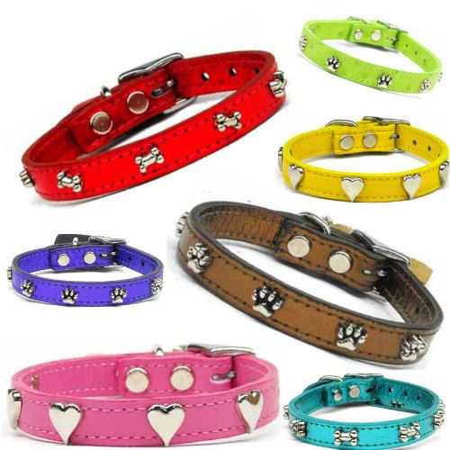 collar, leather items in dog collars 